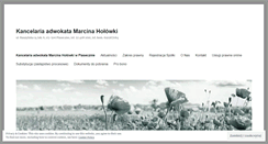 Desktop Screenshot of holowka.com.pl